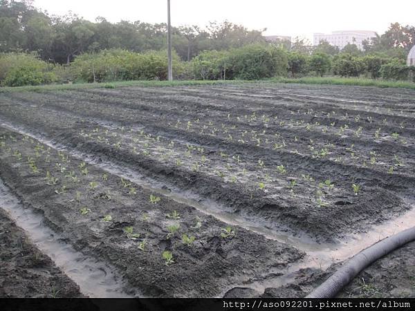 2015122433蔬果類種植區