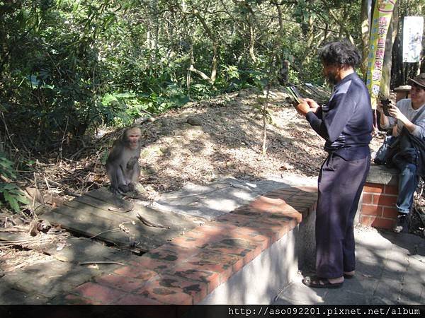 2016010415猴子冷靜地與遊客拍照