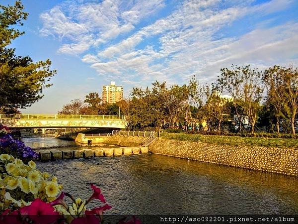 2019012733花博園區河道