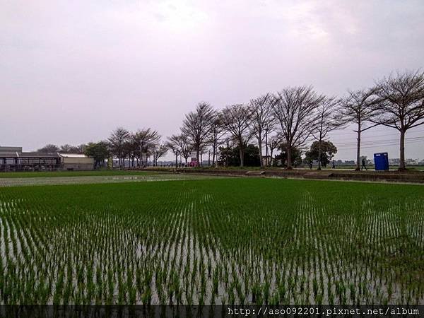 2019022409跑過的路與後方的跑者