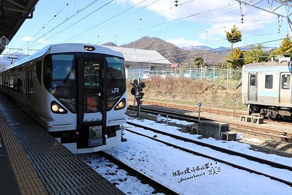 登山電車19.JPG