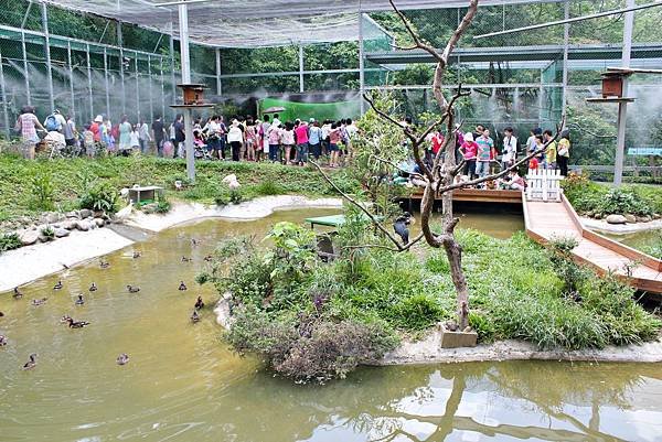 森林鳥花園21