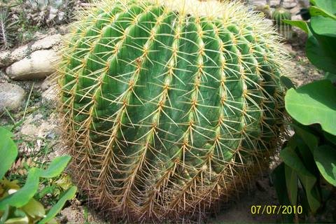 100_3485.JPG