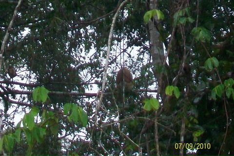 100_3873.JPG