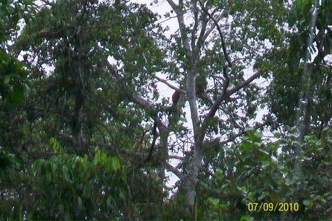 100_3859.JPG