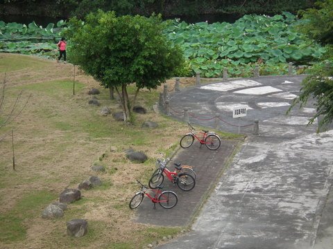 DSCF0163.JPG