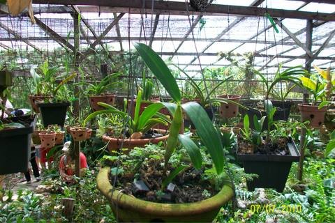 100_3475.JPG