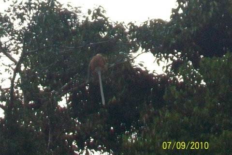 100_3881.JPG