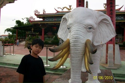 100_3376.JPG