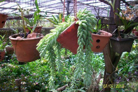 100_3477.JPG