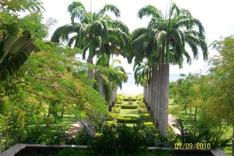 100_3823.JPG