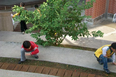 100_5524.JPG