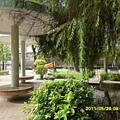 SAM_1294.JPG