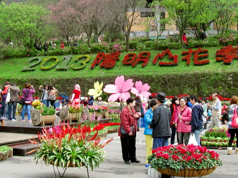 陽明山花季2013_18.JPG