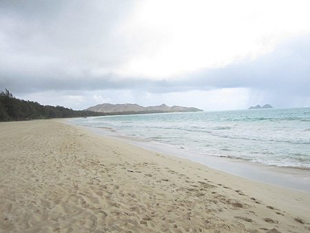 1IMG_4628.jpg