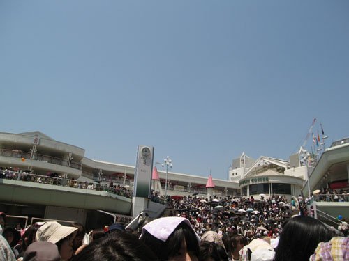 3IMG_7691.jpg