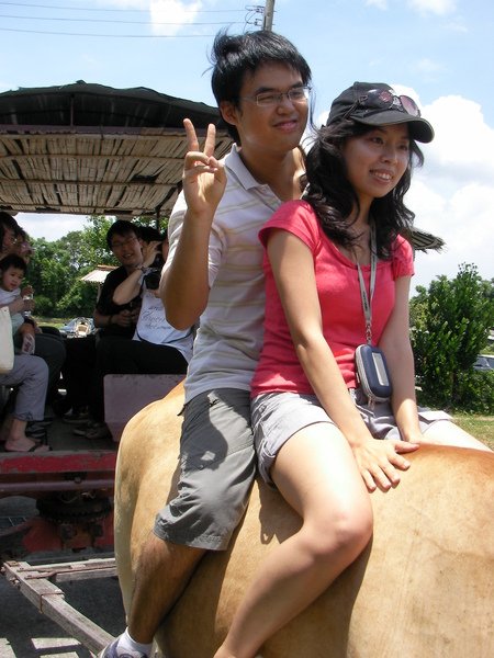 SANY0112.JPG