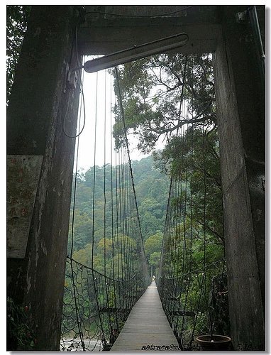 攀龍吊橋