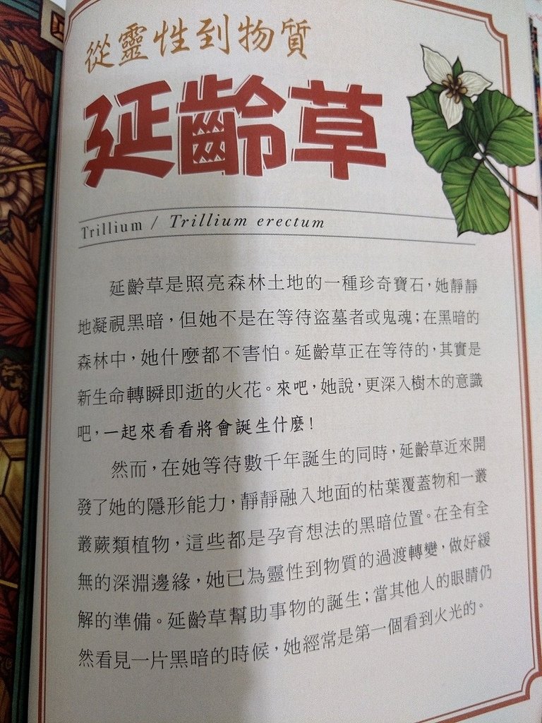 我現在有什麼能力為他人付出-Edith的生命靈數卡