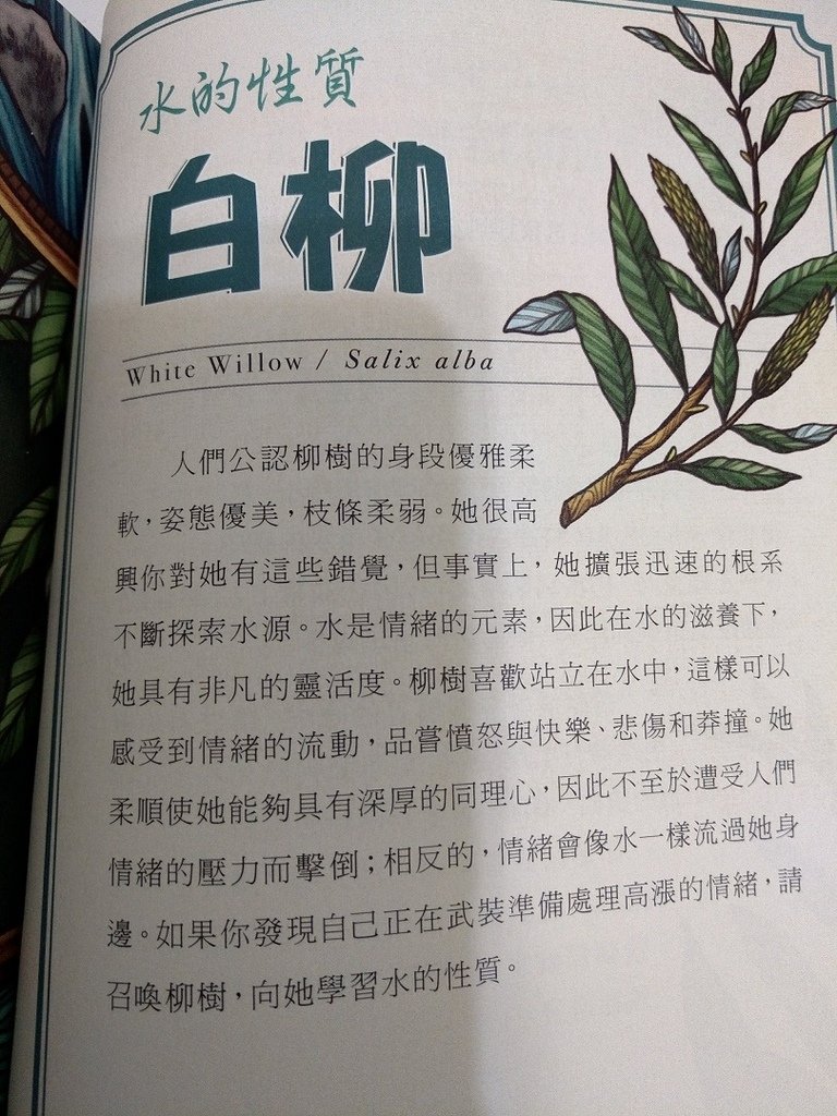 我現在有什麼能力為他人付出-Edith的生命靈數卡