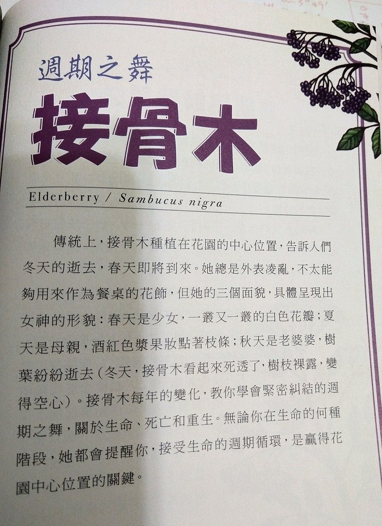 我現在有什麼能力為他人付出-Edith的生命靈數卡