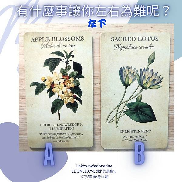 有什麼事讓你左右為難呢？