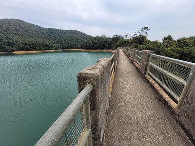 【行山路線】灣仔峽至香港仔水塘行山徑，野豬出沒！