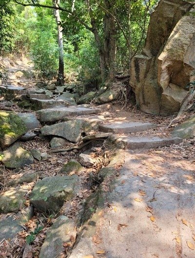 【香港最佳遠足路線】龍脊步行至大浪灣-前半程很輕鬆，後半程下