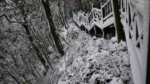 P1440687.JPG - 2016.01 新店獅仔頭山