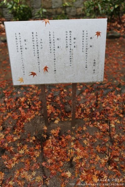 967A8807.jpg