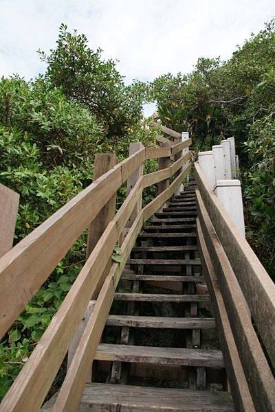 燈塔步道4