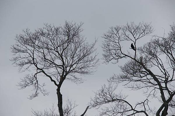 【遊】【日本北海道】支笏洞爺國立公園15