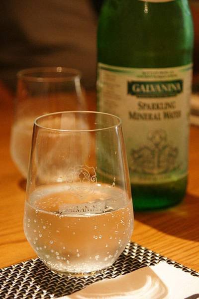 Galvanina1