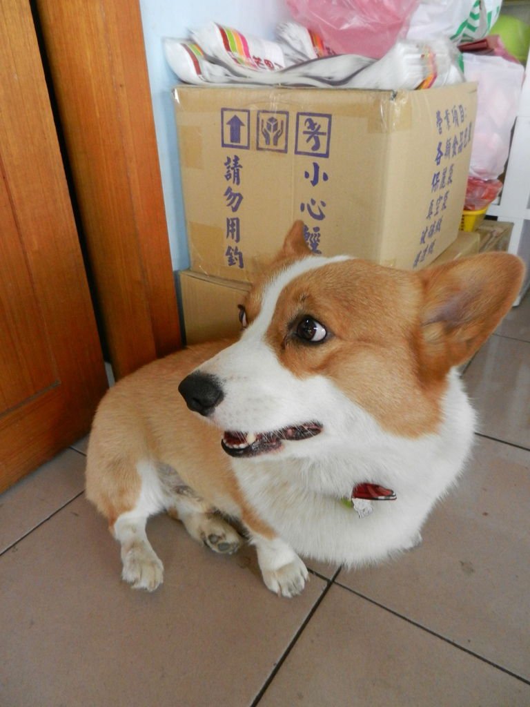DSCN3976.JPG