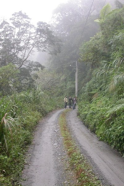 舊出雲山林道