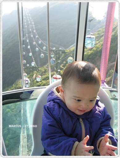 ocean park 451.jpg