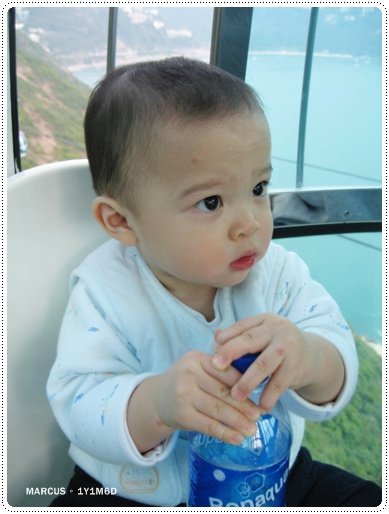 ocean park 391.jpg