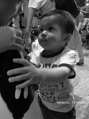 R0014007.JPG