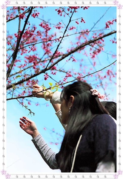111 擺阿愣.jpg