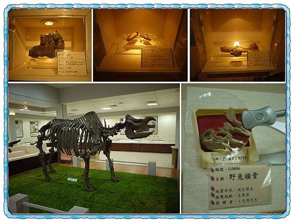 007 野生動物園.jpg