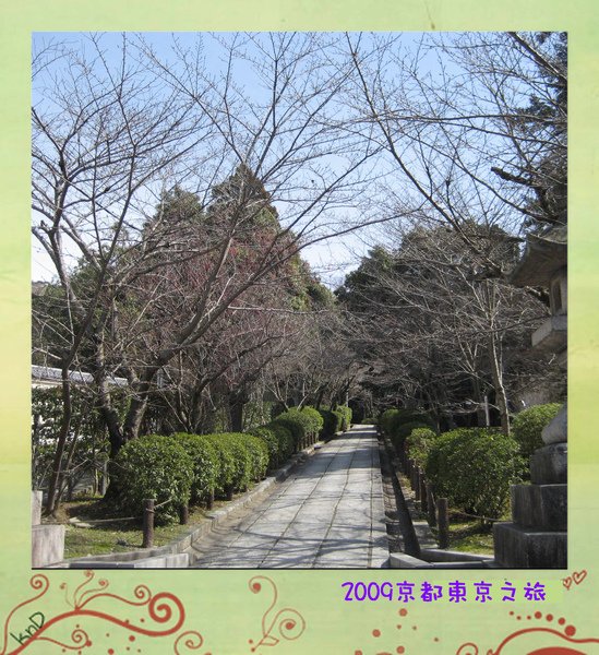 017 櫻花路.jpg