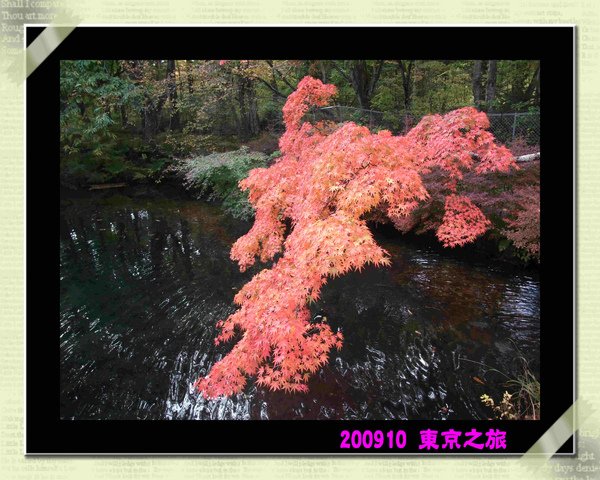 038 雲場池 --011.jpg