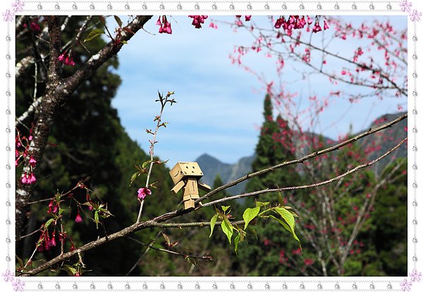 112 阿愣高高.jpg