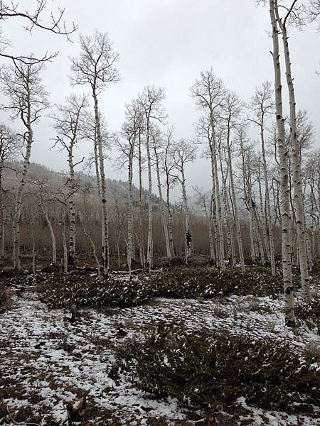 route 25, 1 mile southwest of Fish Lake