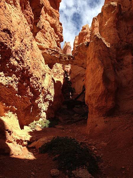 Natural Bridge