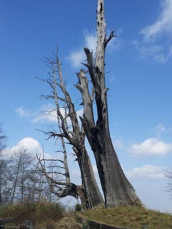 20140207_101755.jpg