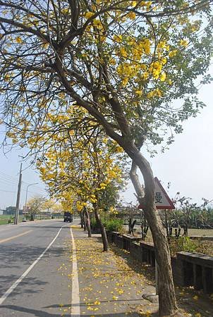 DSC_0001.jpg