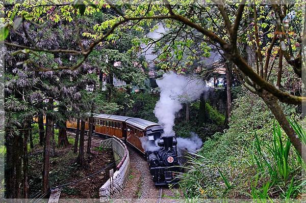 阿里山鐵路