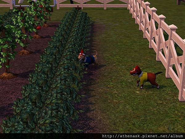 Screenshot-58.jpg