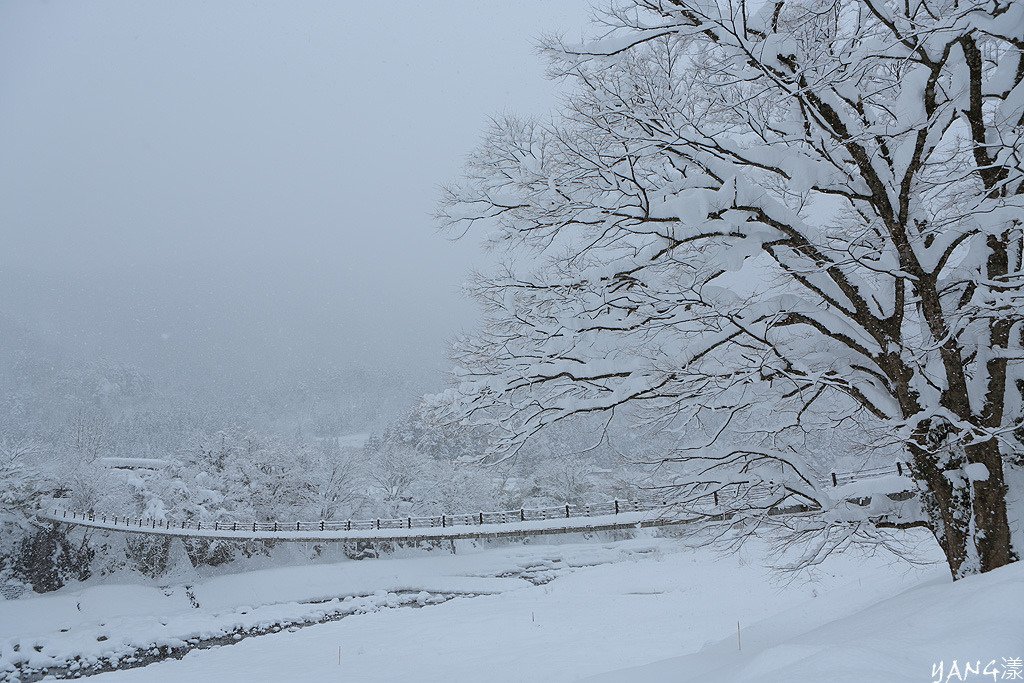 合掌村